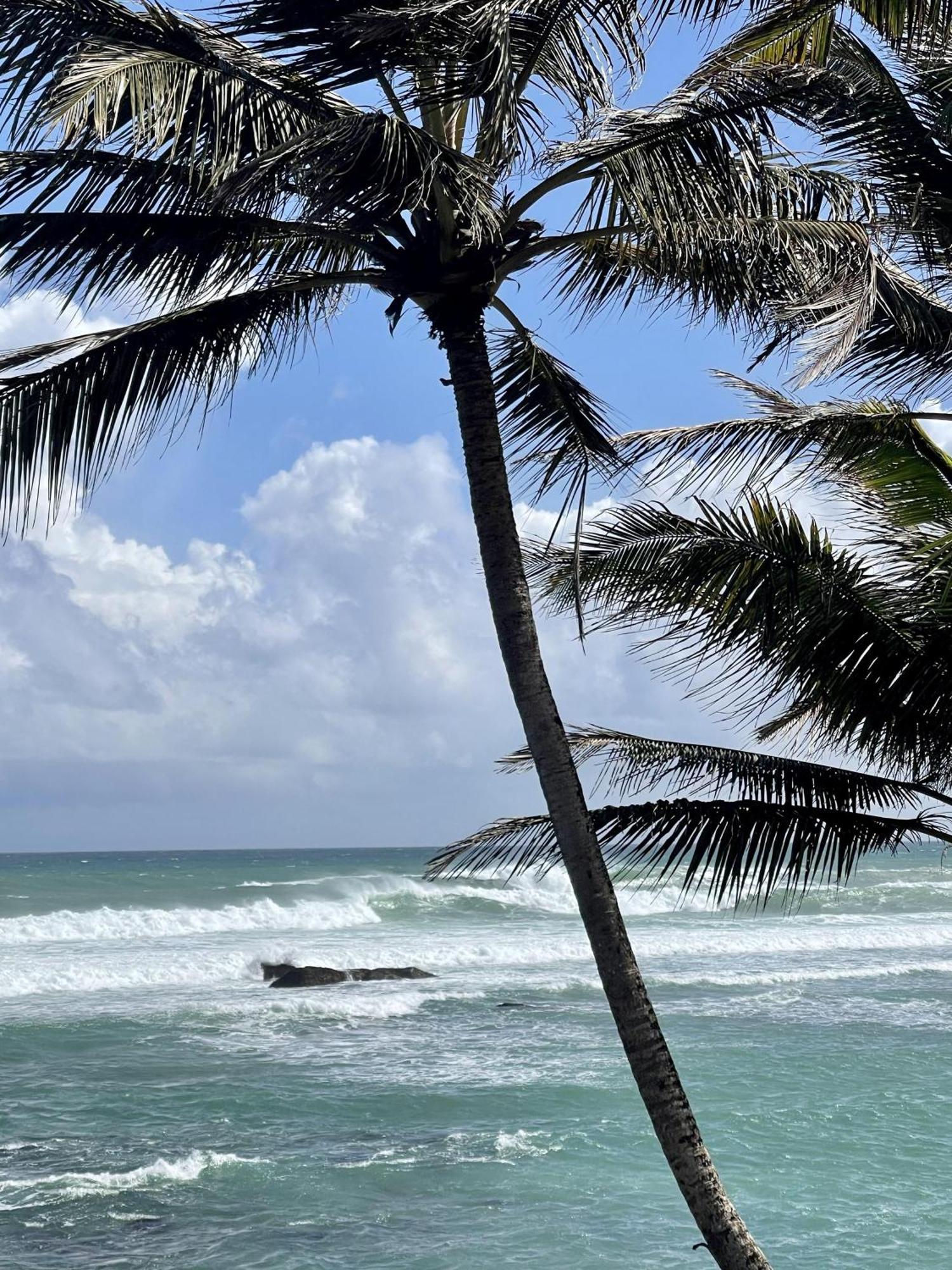 D' Art Villa Retreat And Spa Tangalle Exterior photo